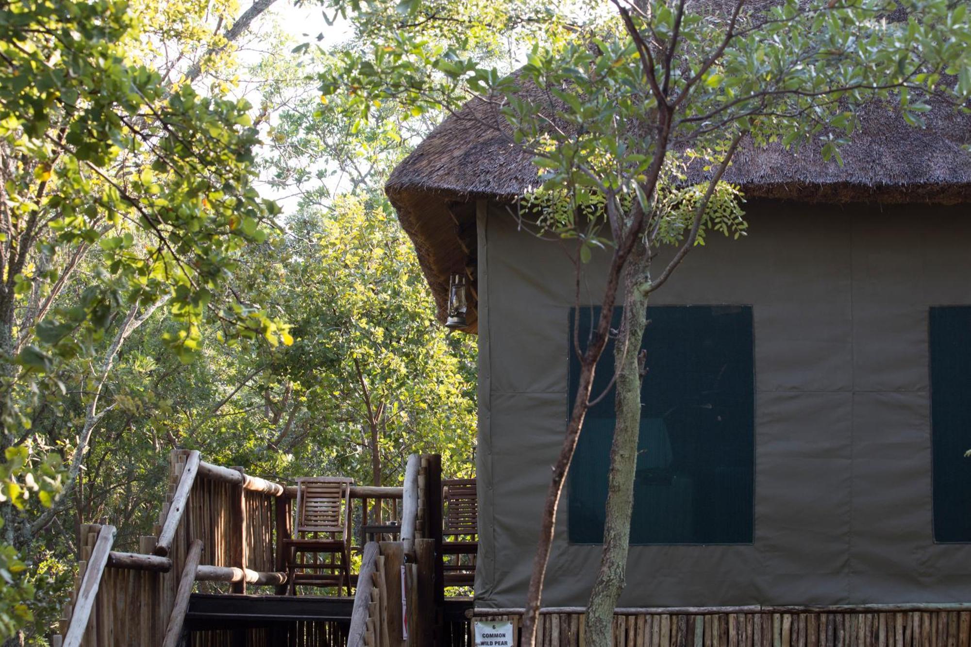 Hotel Honeyguide Ranger Camp Golders Green Pokój zdjęcie